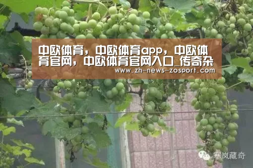 中欧体育，中欧体育app，中欧体育官网，中欧体育官网入口_传奇杂志《电影手册》全体编辑辞职 与新股东未来发展方向意见相左