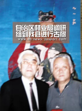 自治区林业局调研组到我县进行古树名木保护工作调研-中欧体育,中欧体育app,中欧体育官网,中欧体育官网入口