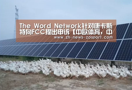 中欧体育，中欧体育app，中欧体育官网，中欧体育官网入口